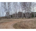 Fragment ścieżki rowerowej