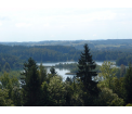 fot. T. Świerubska