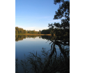 Jezioro Jeglówek
fot. T. Świerubska