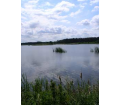 Stawy hodowlane w okolicy Szubiennika