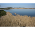 Widok z wieży, fot. E. Ranoszek