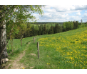Panorama na dolinę Błędzianki w Będziszewie. fot. Anna Naruszewicz ®