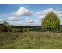 Panorama na Puszczę Romincką w Bludziach. fot. Anna Naruszewicz ®