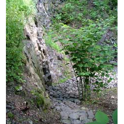 Rezerwat geologiczny 