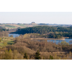 Żółty szlak piesz