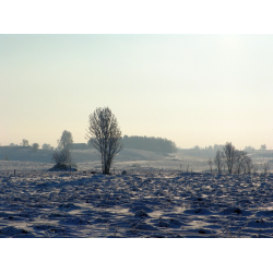 Trasa rowerowa 