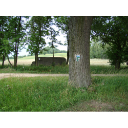 Szlak 