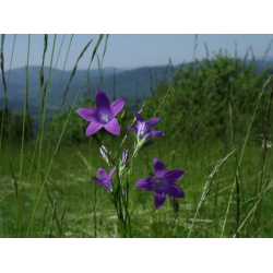 przyrodnicza trasa rowerowa 