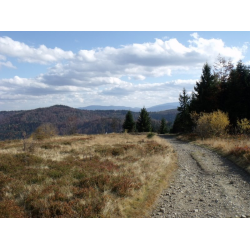 Potrójna