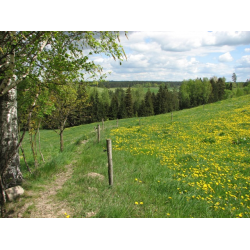 Ścieżka przyrodnicza  