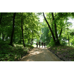 Park Mużakowski
