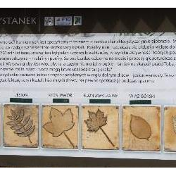 Ścieżka edukacyjna 