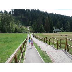 Trójstyk granic