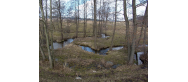 Ścieżka poznawcza 