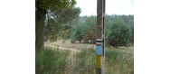 Szlak 