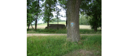 Szlak 