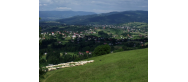 Ochodzita