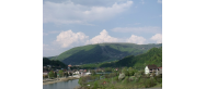 Żar