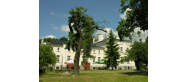 Ośrodek Edukacji Przyrodniczej w Lądzie
