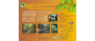Ścieżka przyrodnicza 