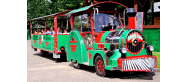 Białowieski Express