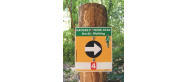 Nordic Walking - trasa 2