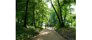 Park Mużakowski