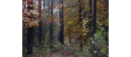 WALORY TURYSTYCZNE 