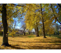 Park w Strońsku