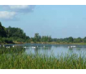 Stawy hodowlane - Kuźnica Katowska