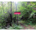 Rezerwat przyrody Góra Chełm (fot. Archiwum ZKPK w Krośnie)