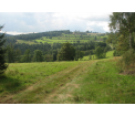 Łąki pod Przeł. Rędzińską / fot. J.Gajowiak