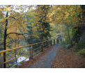 fot. A. Kolbuch