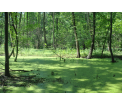 fot. K. Mielecka