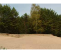 Wydmy koło Karłowic
