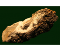 chalcedon