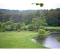 Rzeka Drwęca