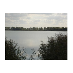 Jezioro Tomasznie / Tomaszne 