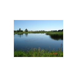 Przyroda gminy