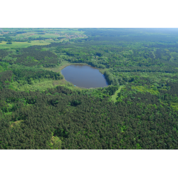 Jezioro Bolechowskie 