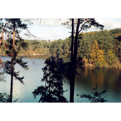Rezerwat - Mieliwo