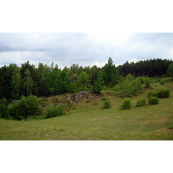 Rezerwat 