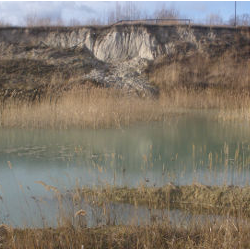 Zarastające wyrobisko iłów pod Sośnicą