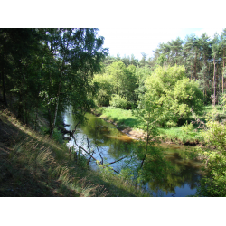 Zespół przyrodniczo-krajobrazowy 