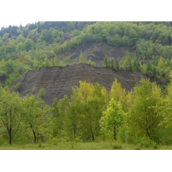 Kamieniołom w Kozach