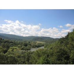 Rezerwat przyrody 