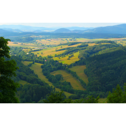 Przełom Rybnej