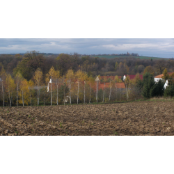 Przełom doliny Bystrzycy pod Domanicami