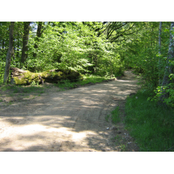 Obszar chronionego krajobrazu w okolicach jezior Krępsko i Szczytno w gminie Rzeczenica
