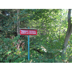 Rezerwat przyrody 